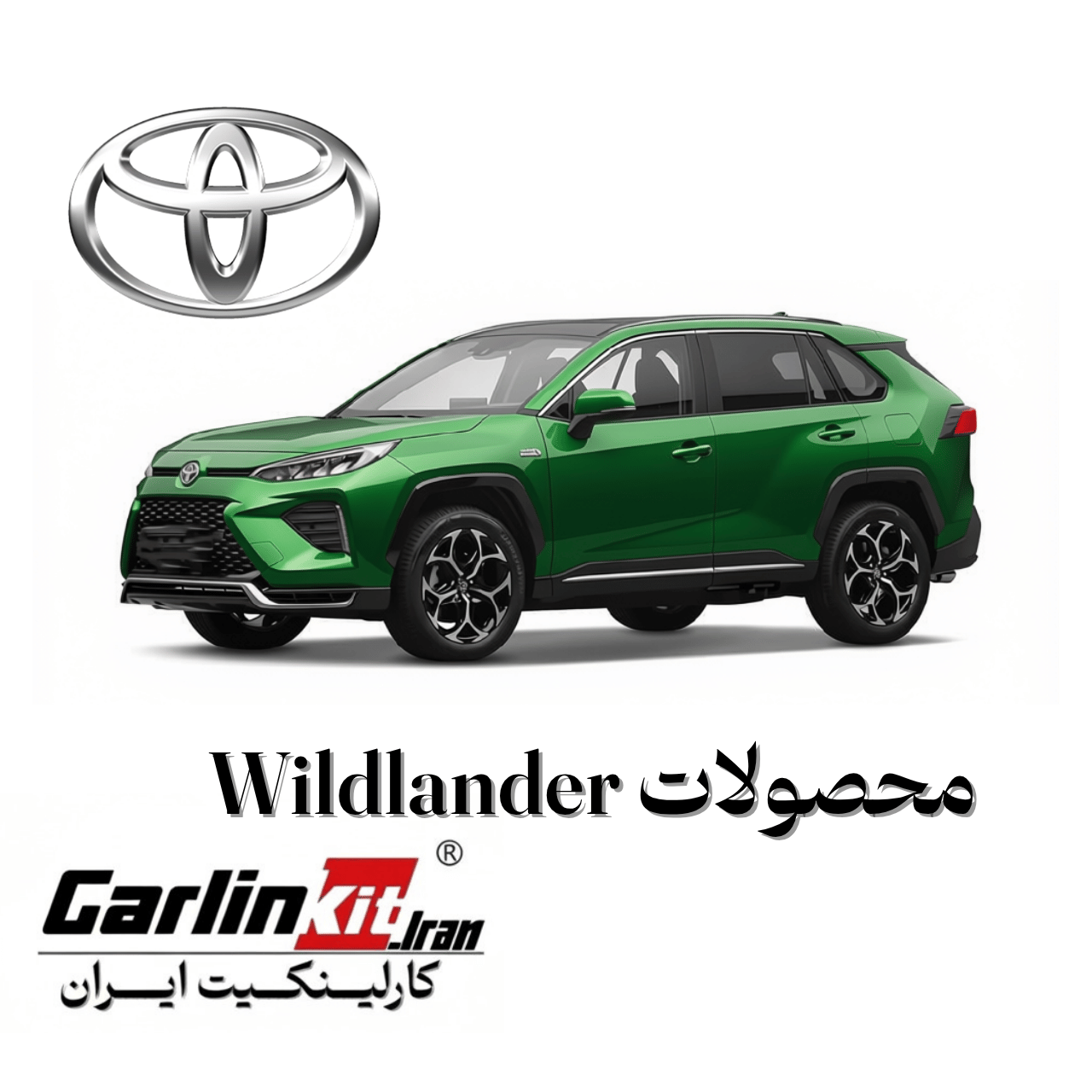 وایلدلندر